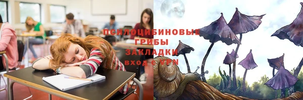 индика Приозерск