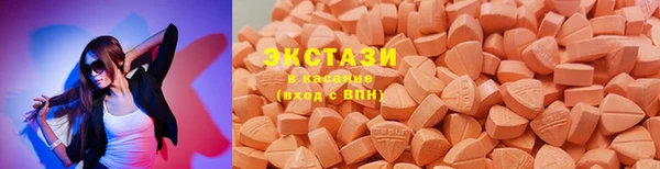 индика Беломорск