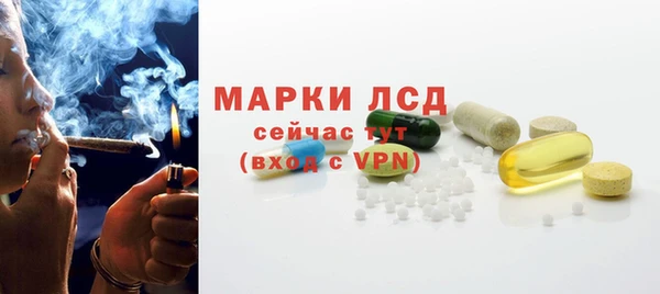 индика Беломорск