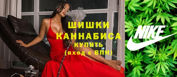 индика Беломорск