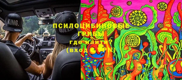 индика Приозерск