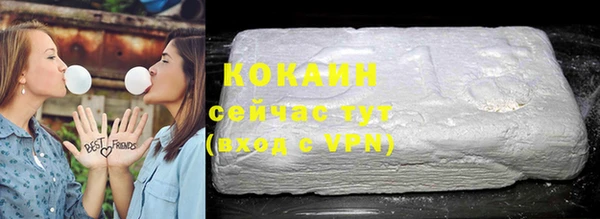 индика Беломорск