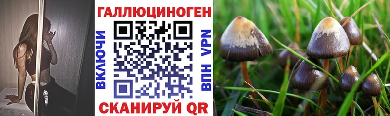 Псилоцибиновые грибы мицелий  KRAKEN зеркало  Пионерский 