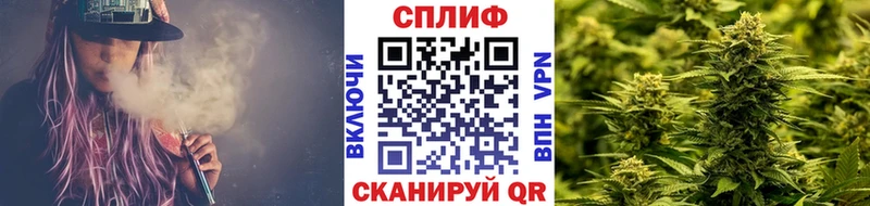 купить наркоту  Пионерский  hydra ССЫЛКА  Каннабис семена 